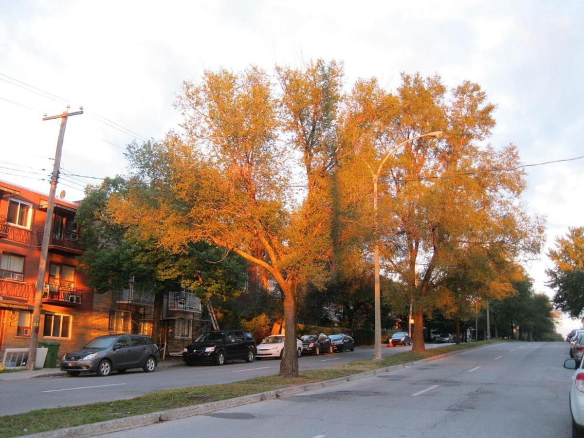 Heaven Is A Place On Earth, Montreal